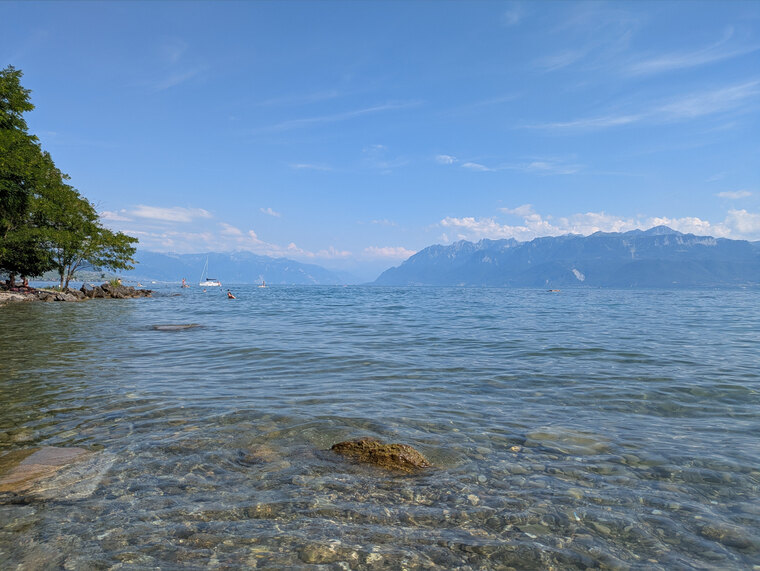 Toesbythelake cover image