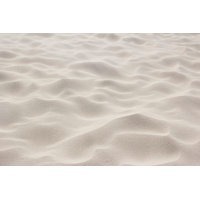 Toesfordays22 banner image