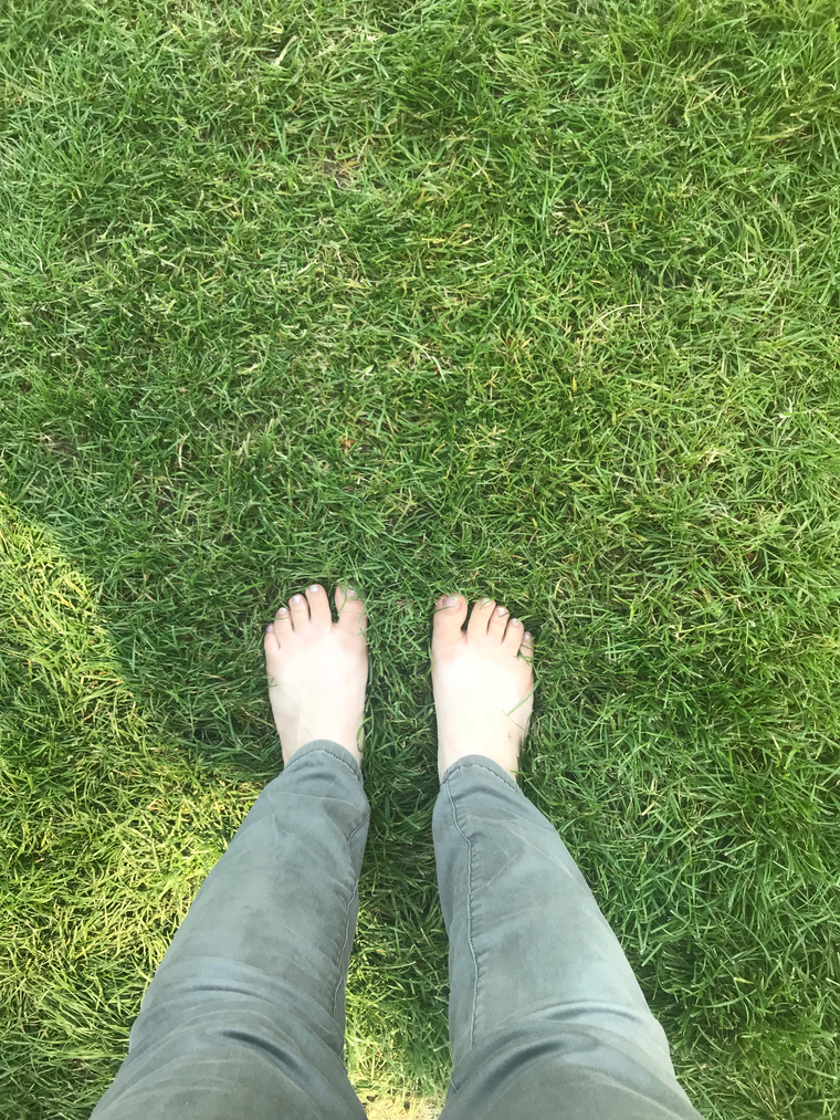 Twinkletoes cover image