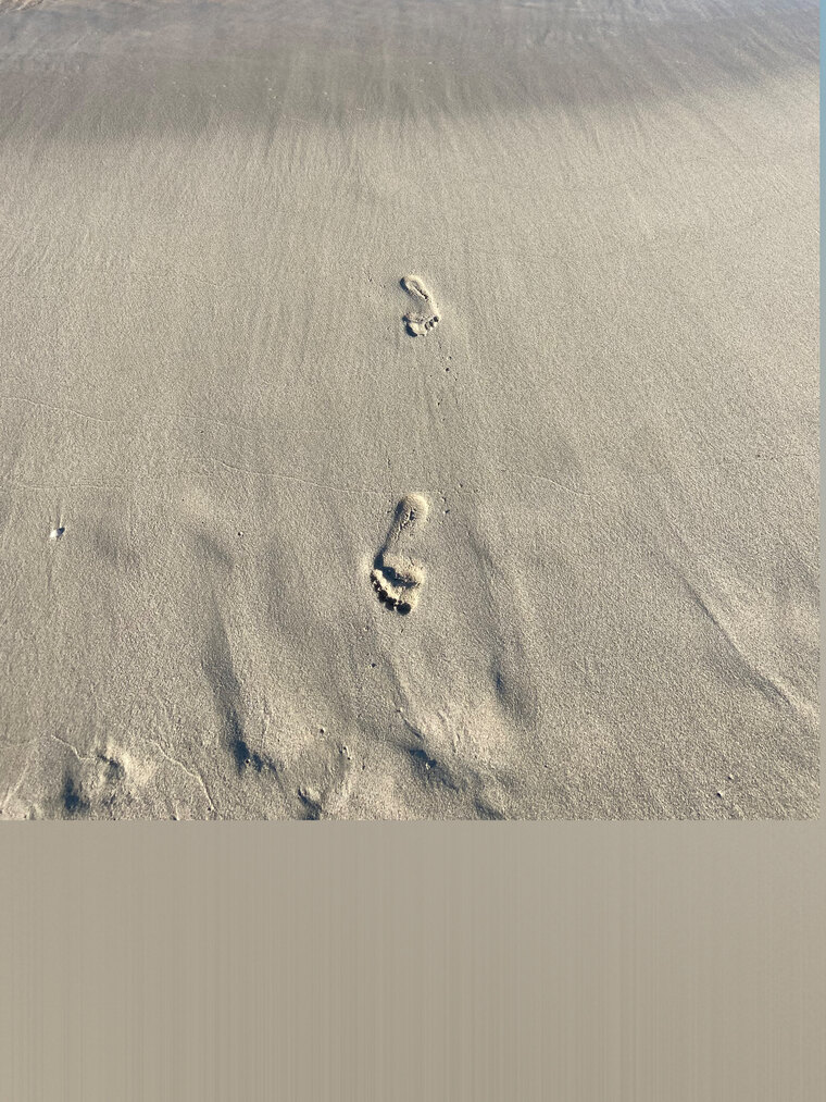 lovelyfeets cover image