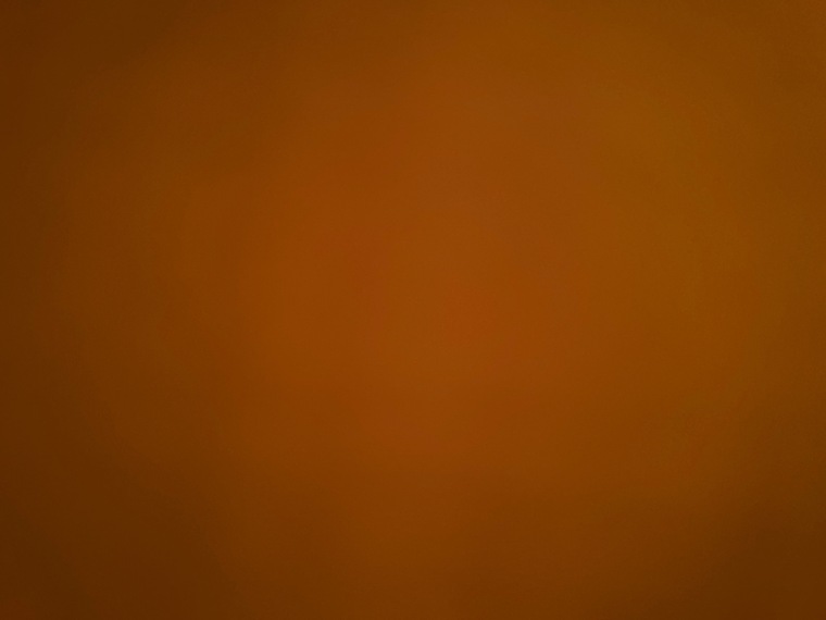 Toes and Tickles banner image