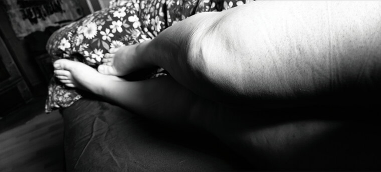 Toes on the Wild banner image