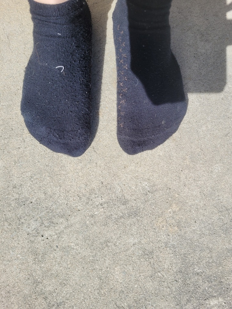 Toes cover image