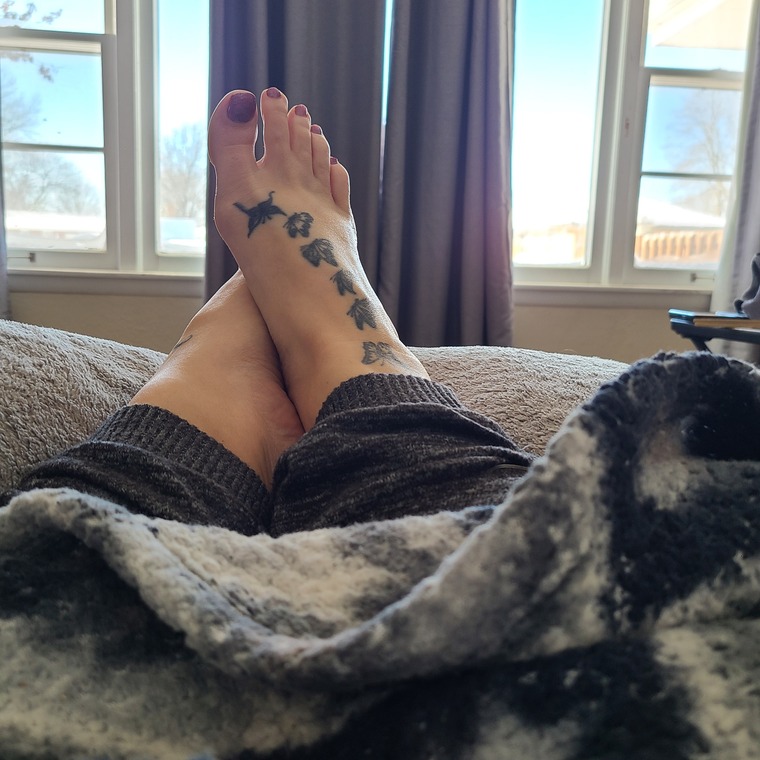 Toesys_lala banner image