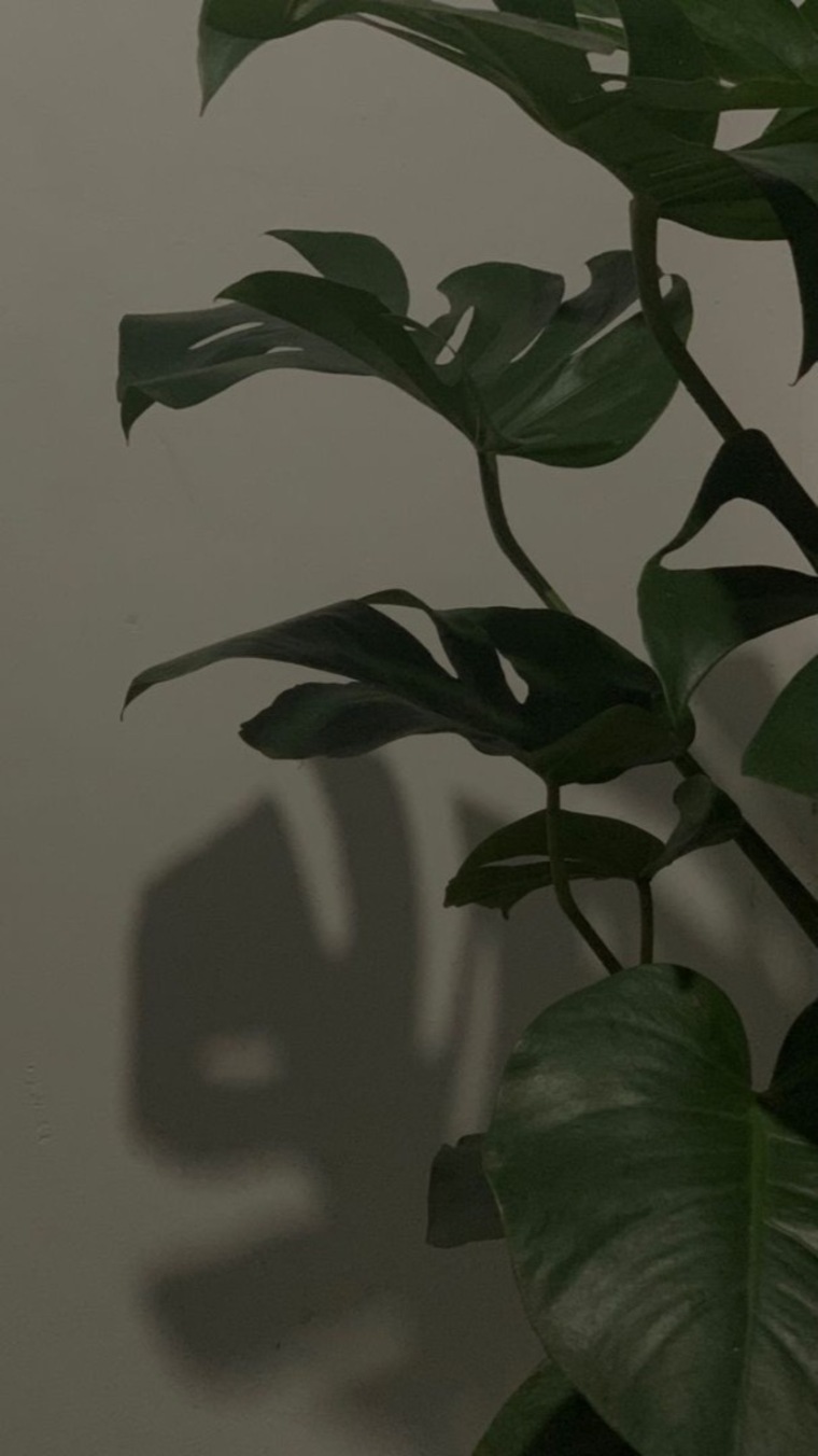 ToeTeaser cover image