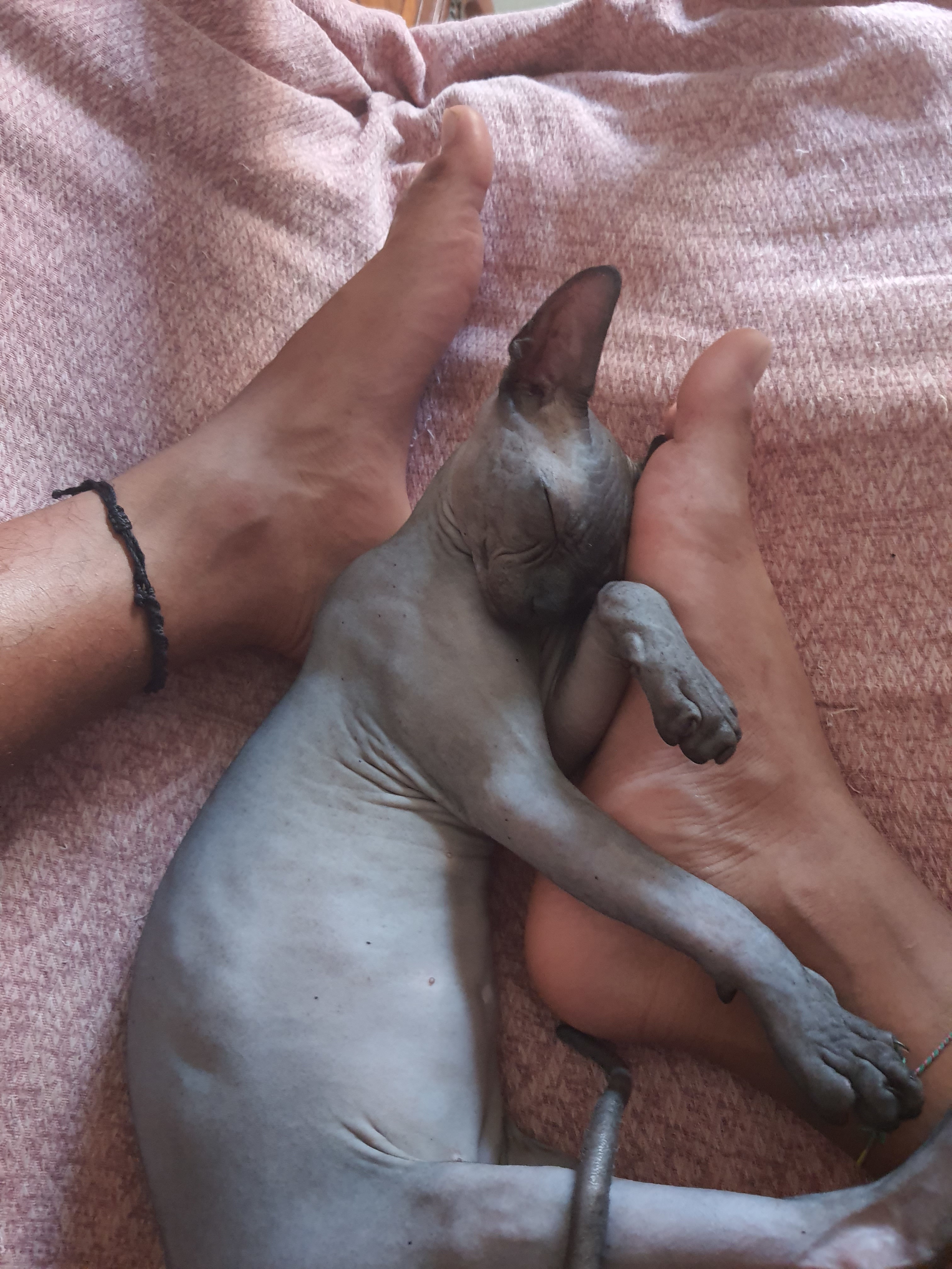 Tofeetlovers banner image