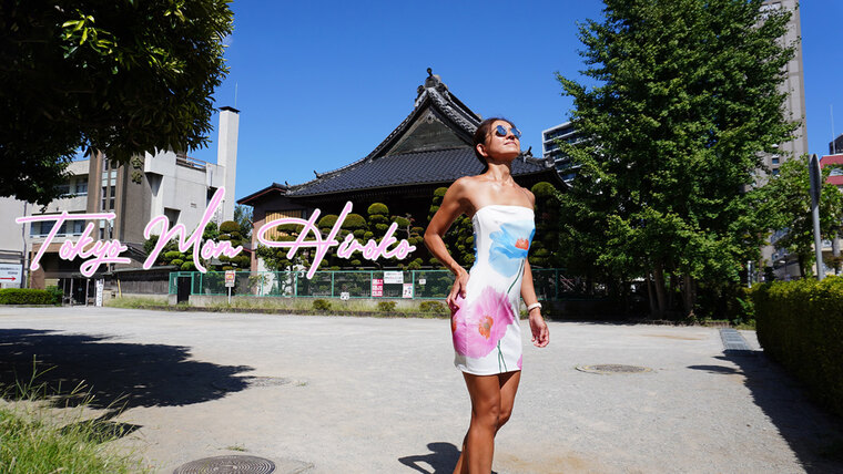 Tokyo Mom Hiroko VIP cover image