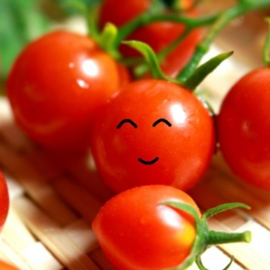 MuscleTomato banner image