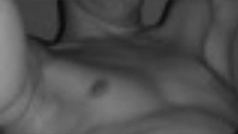 tombigdick_25 cover image