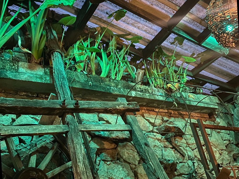 TomB banner image