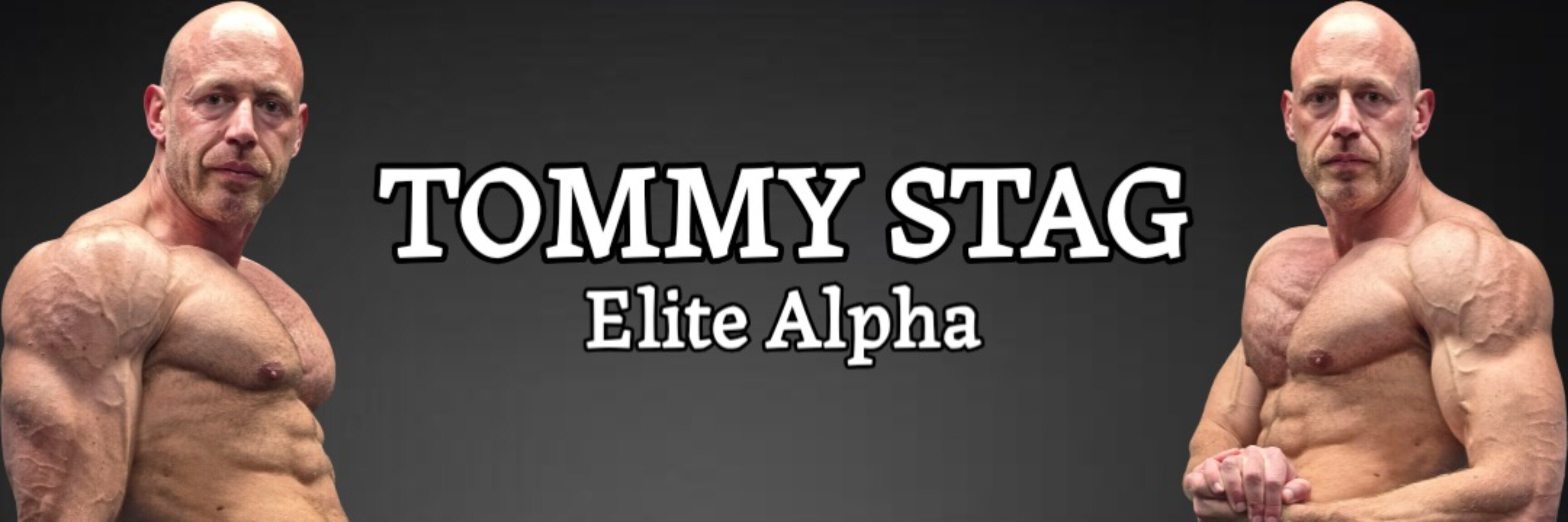 Master Tommy Stag 🦌 banner image