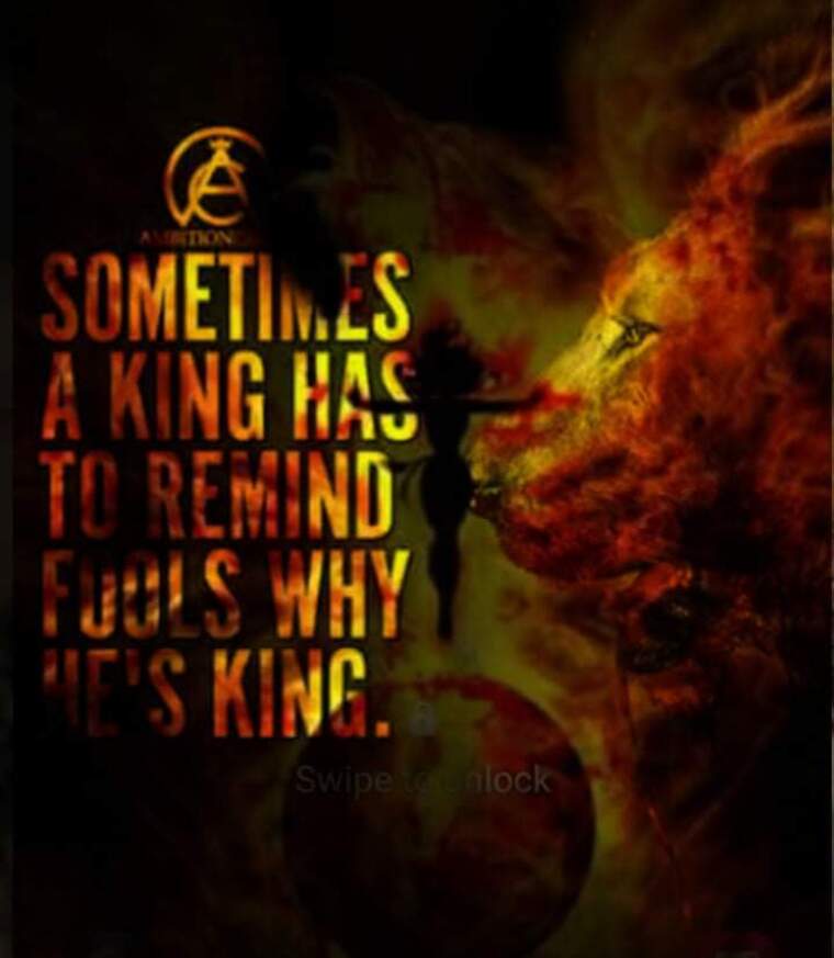 Toni frmz cover image