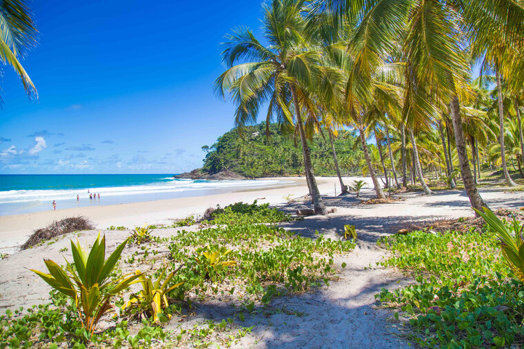 Toni Freitas banner image