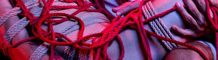 Zed Sheng cover image