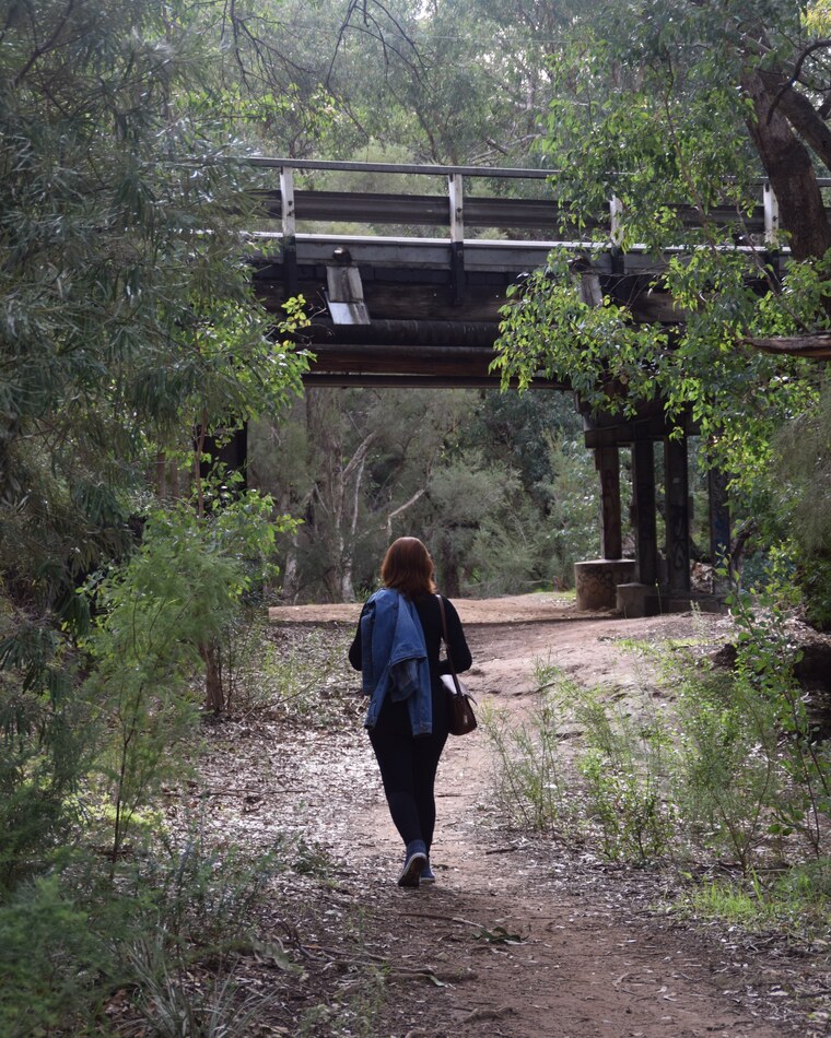 Tootimoose cover image