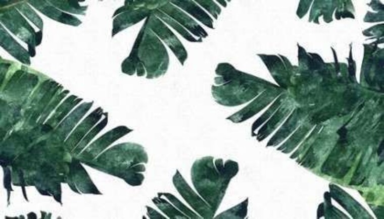 TootseeFootsee banner image