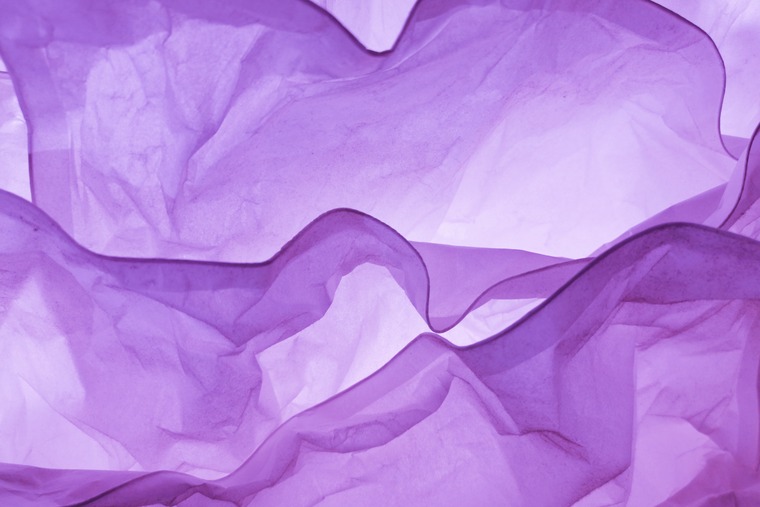 Tootsie Tii banner image