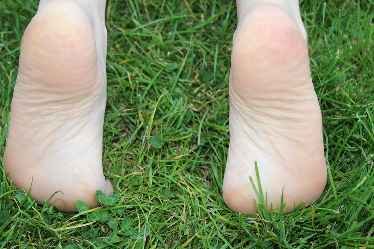 Tootsie Toes Rock banner image