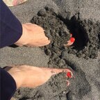 The Feet Goddess avatar