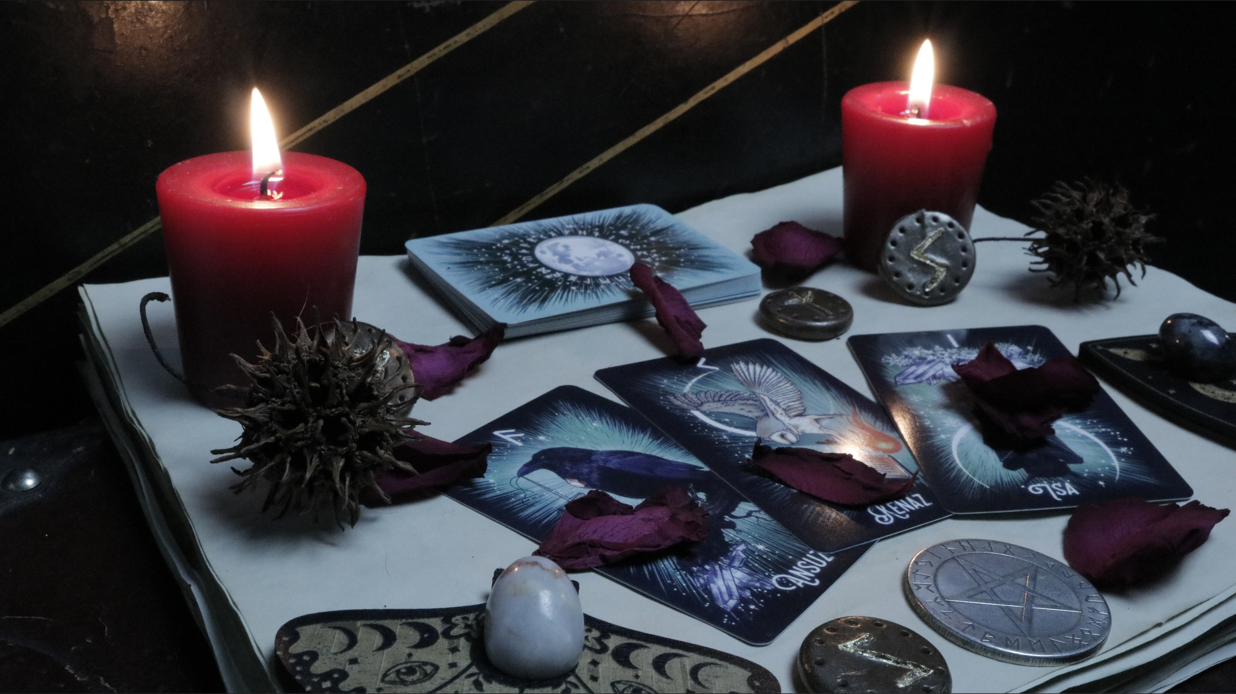 Raven banner image