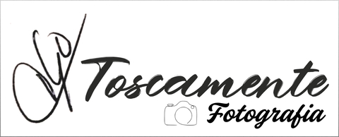 TOSCAMENTE cover image