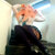 Doll avatar