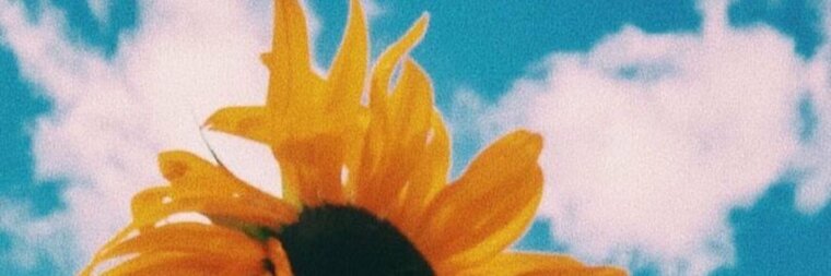 Toda Grandona cover image