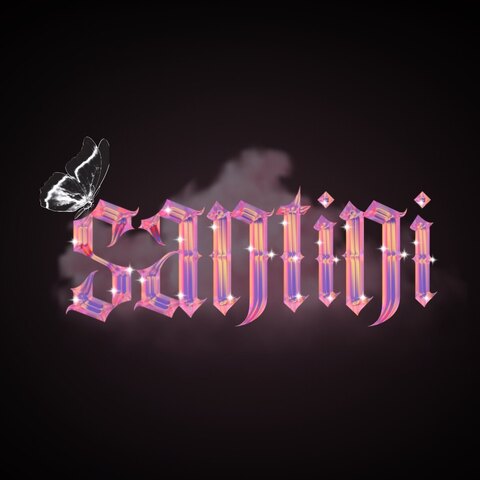 Santini cover image