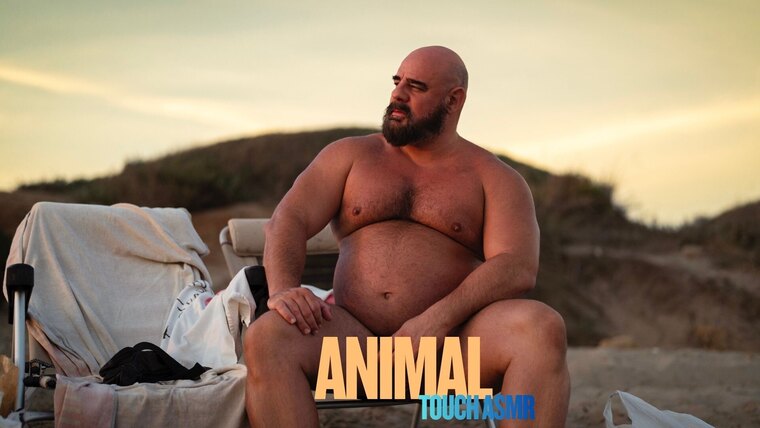 ANIMAL cover image