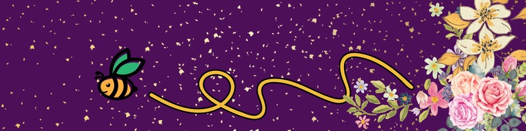 Tour De Chonk cover image