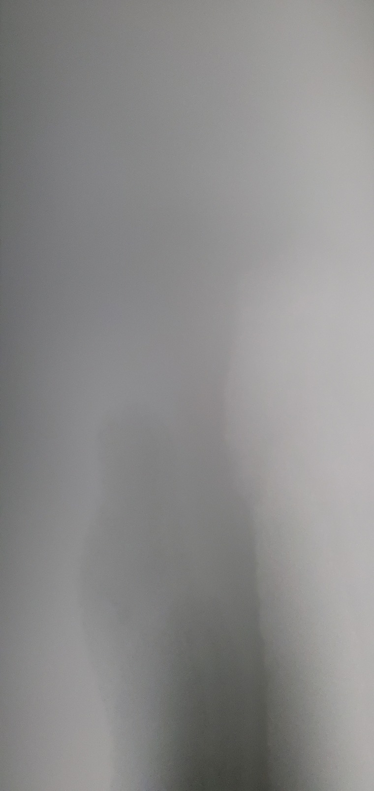 Booty lover banner image