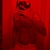 Tequila Demon avatar