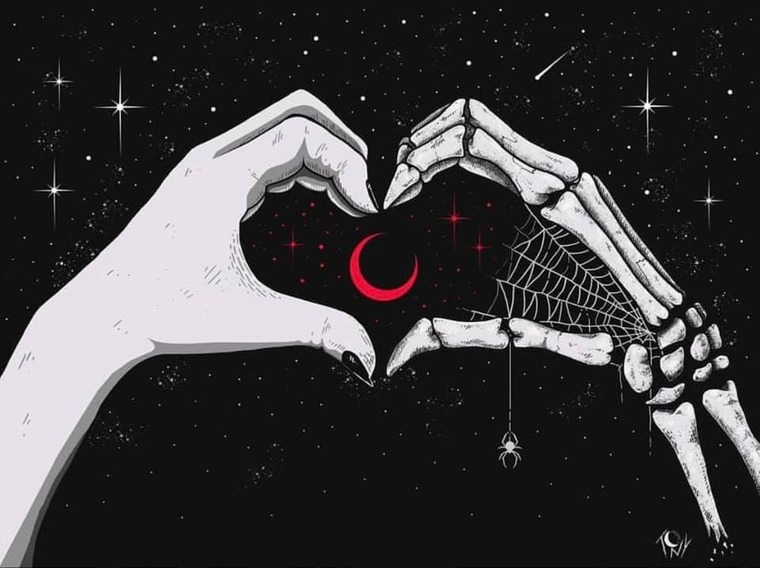 ToxXy banner image
