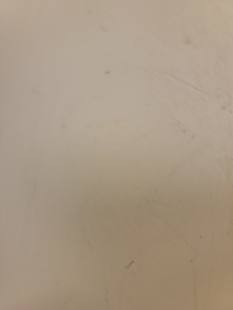 TPDIDTHAT banner image