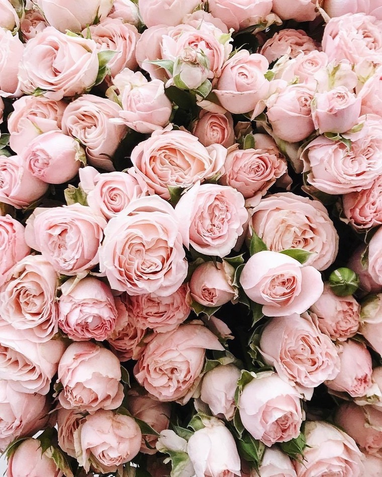 TPrettyR669๐๐ฆ๐ฅต๐๐๏ธ banner image