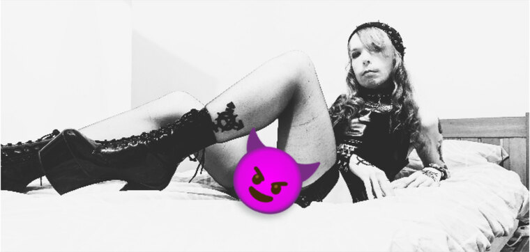 Tranarchy Reigns! cover image