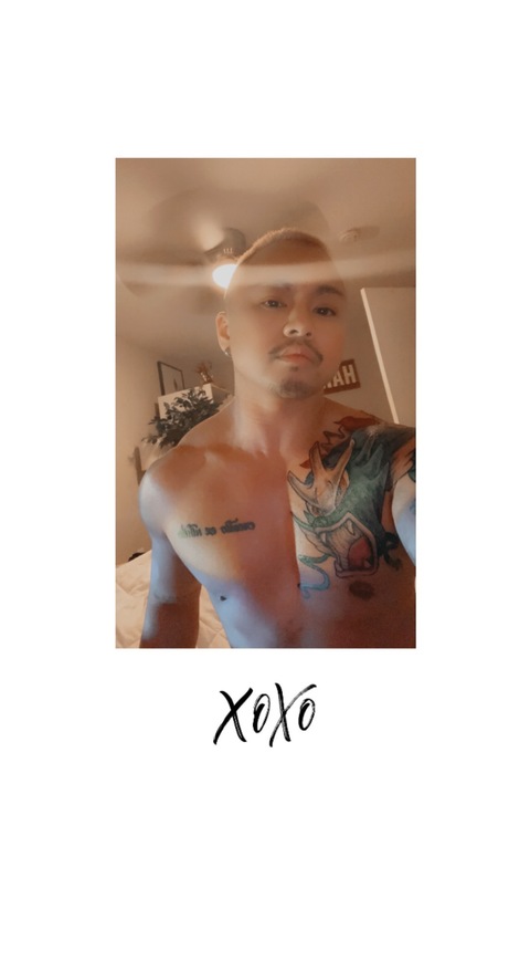 The Aventura Boi cover image