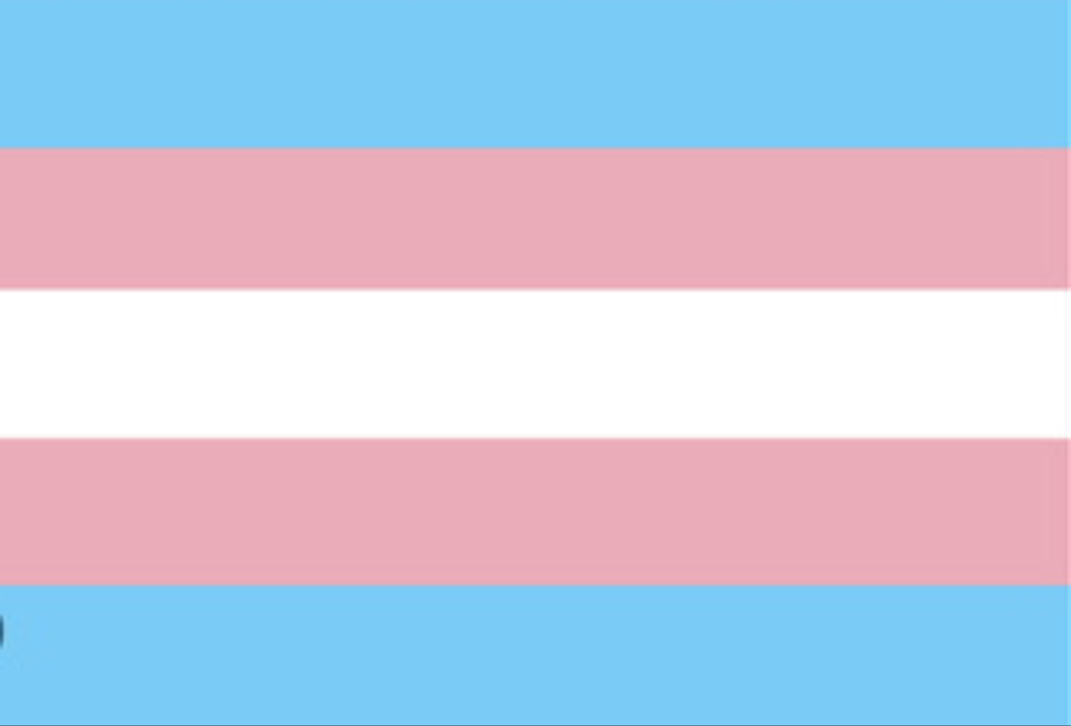 TransBoyDJ banner image