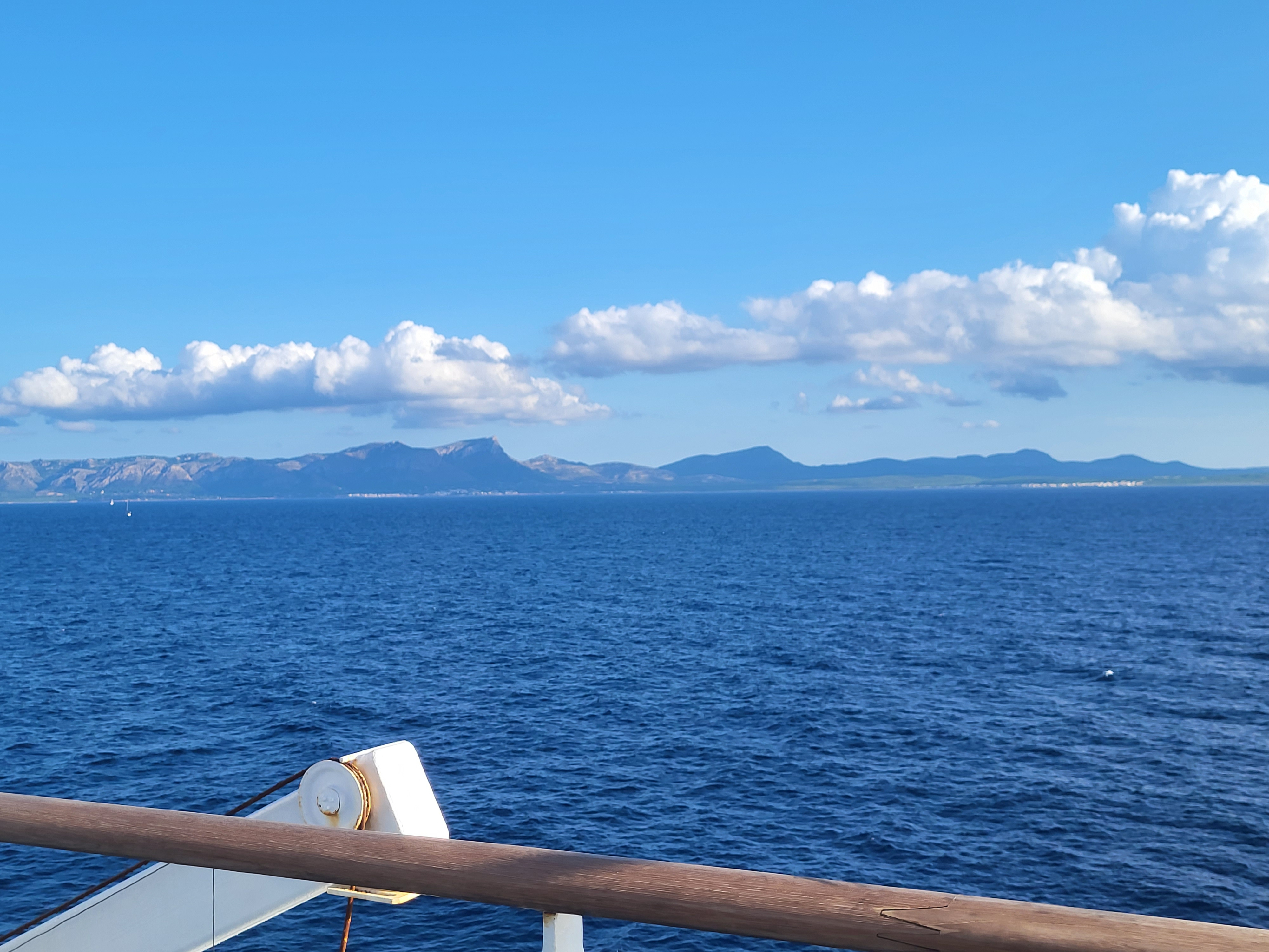 Transman banner image