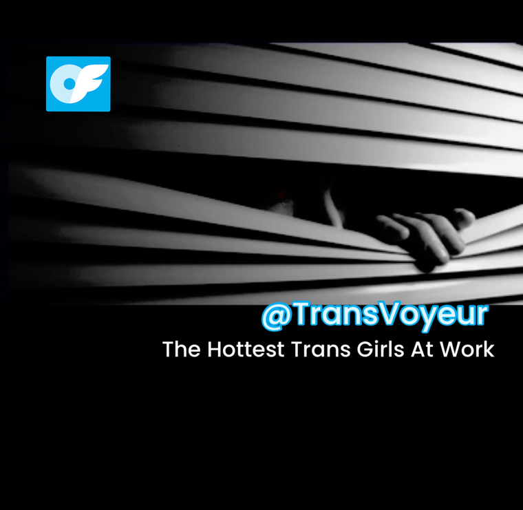 Trans Voyeurism cover image