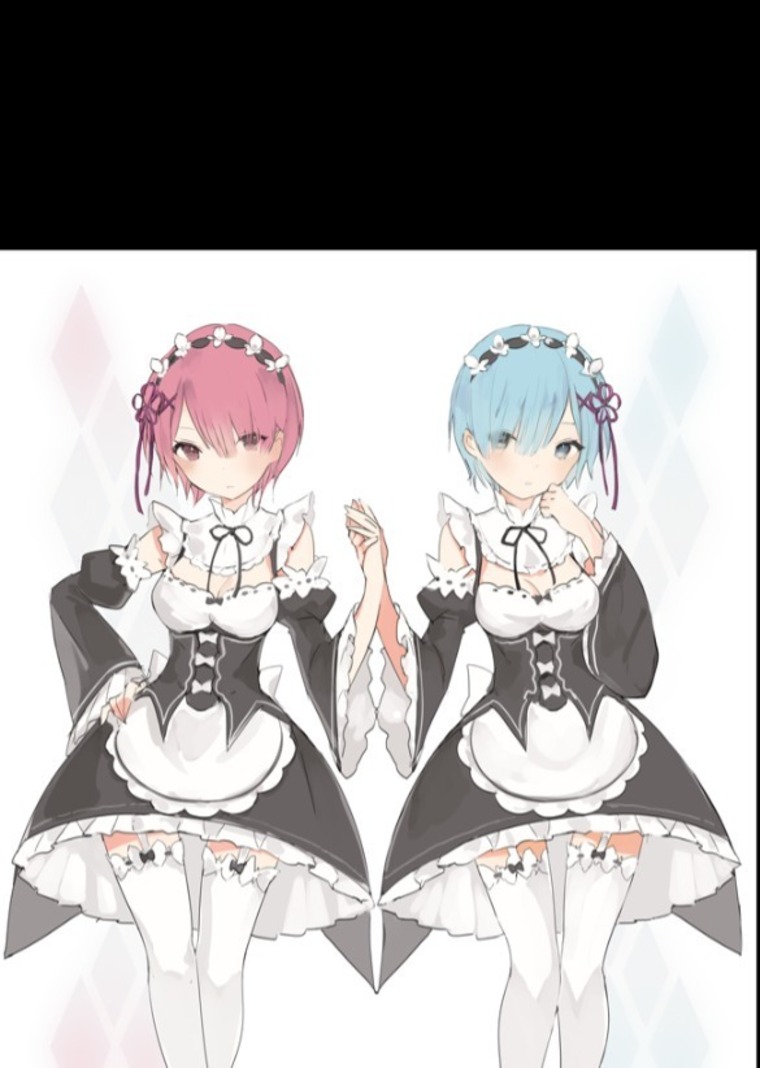 Niphelia banner image