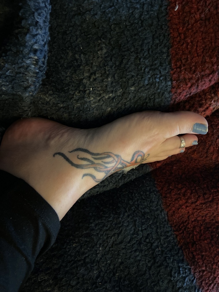 Trashifeets cover image
