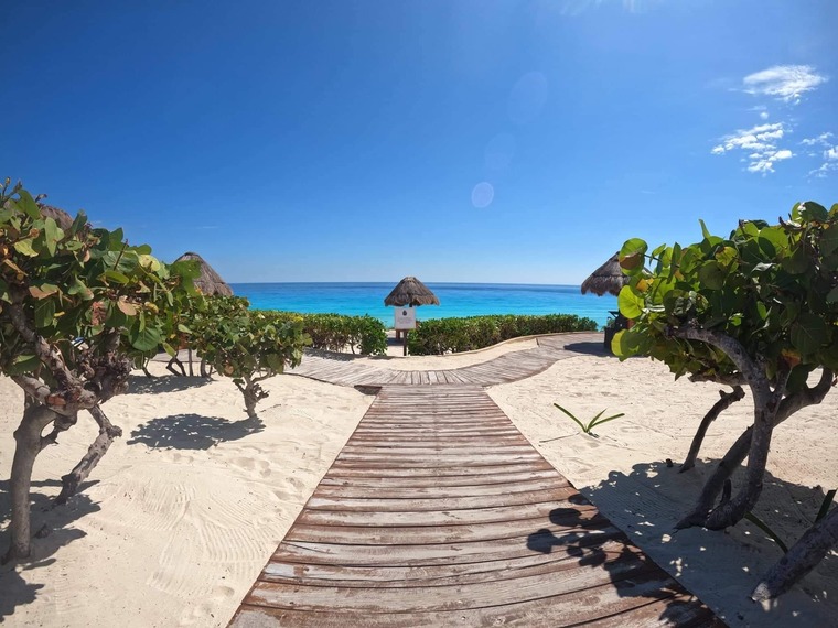 Lefi🏝️ cover image