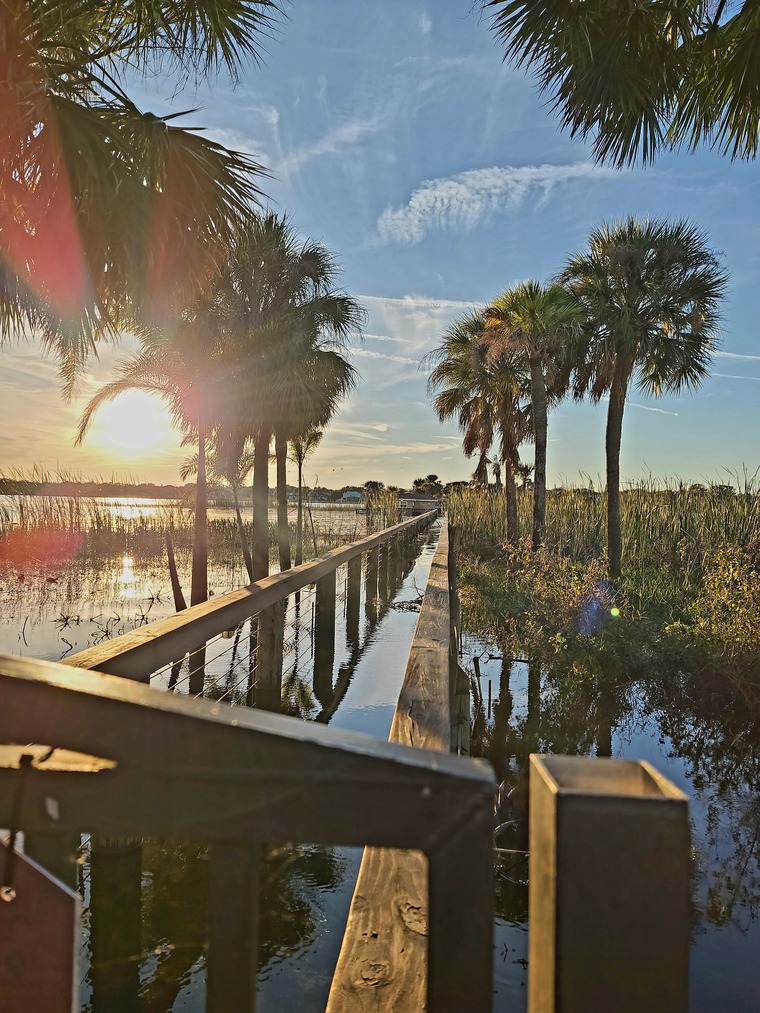 haley cover image