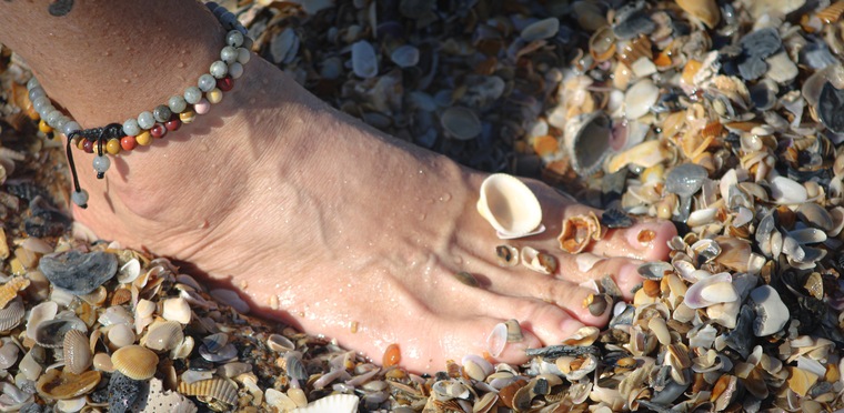 Traveling Toes cover image