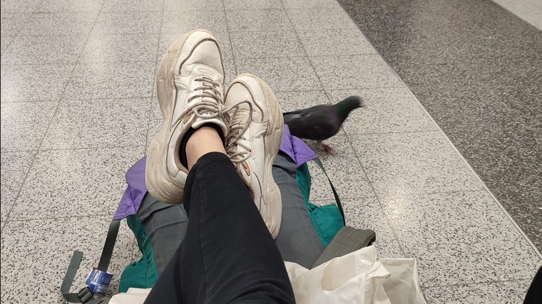 Travellingfeet cover image