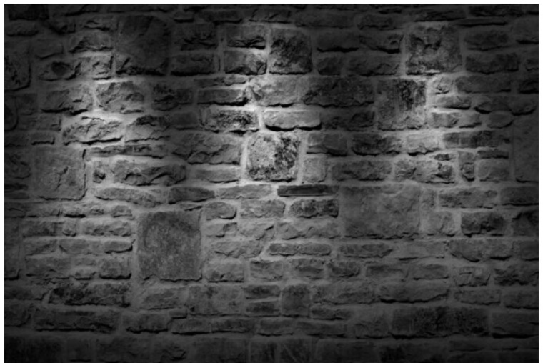 Travelling Toes banner image