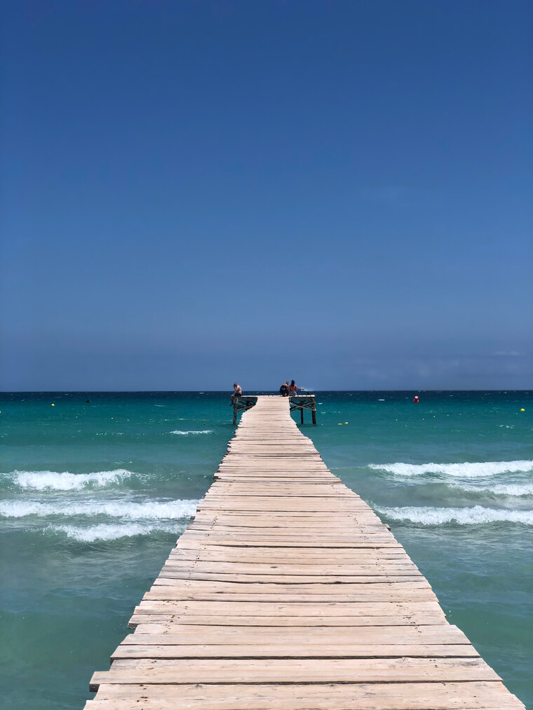 travelwithme cover image