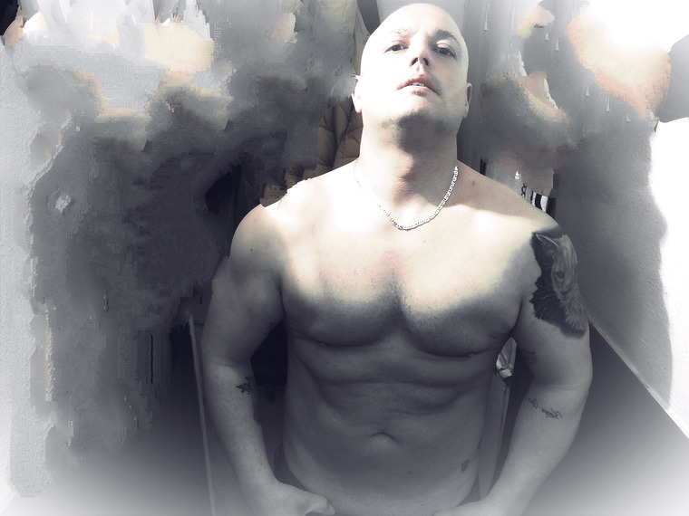 Gatoloco banner image
