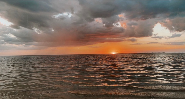 tay cover image